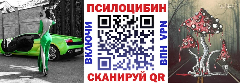 где найти   Невельск  Галлюциногенные грибы мицелий 